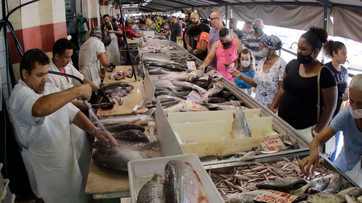 Peixes Mercadão Ribeirão Preto