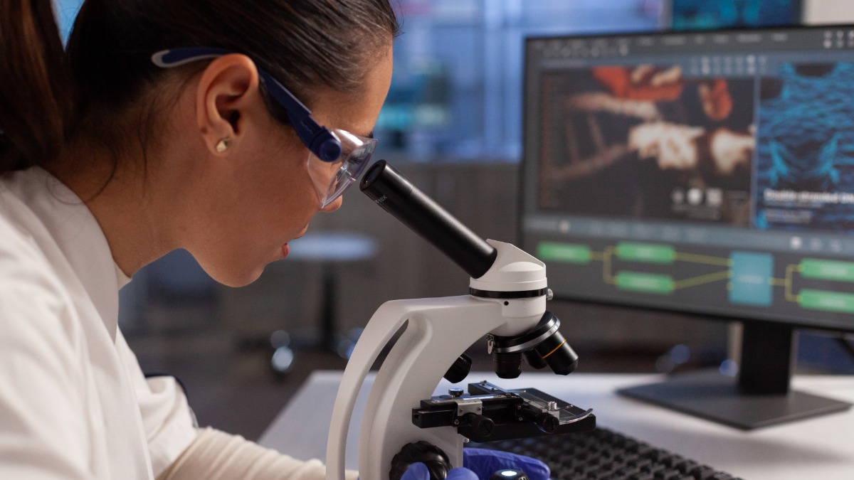 Projeto com estudos em Ribeirão quer