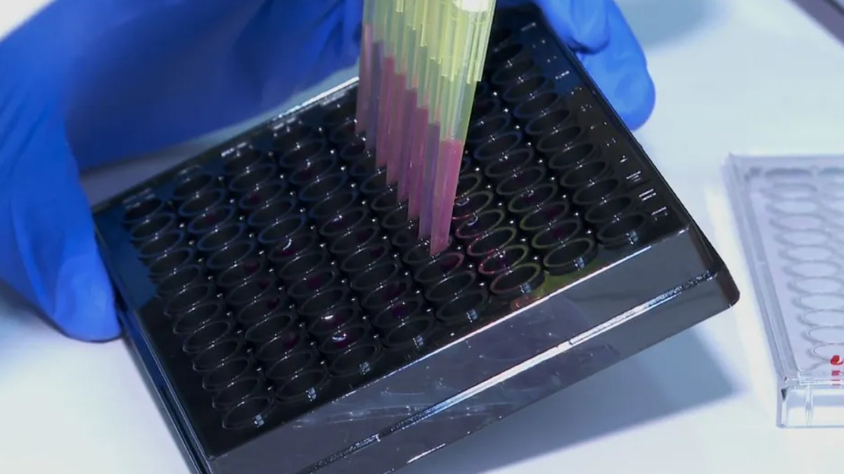 mortes por Covid Ribeirão Preto