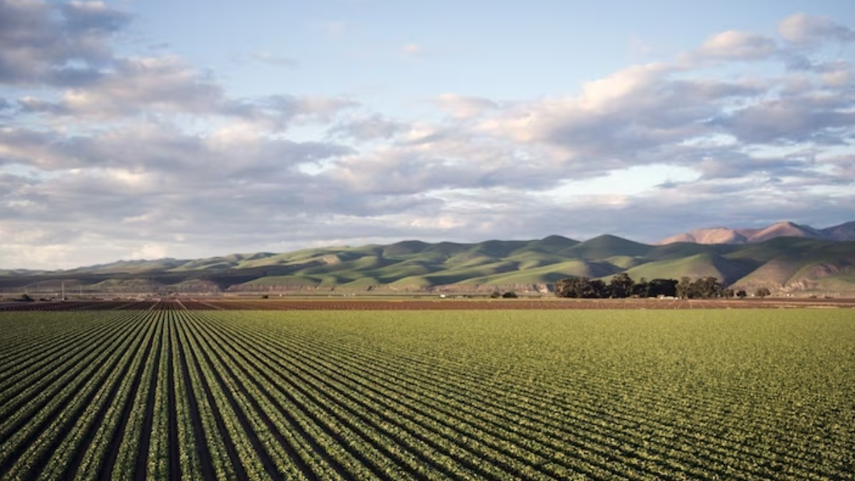Plano Safra sustentável