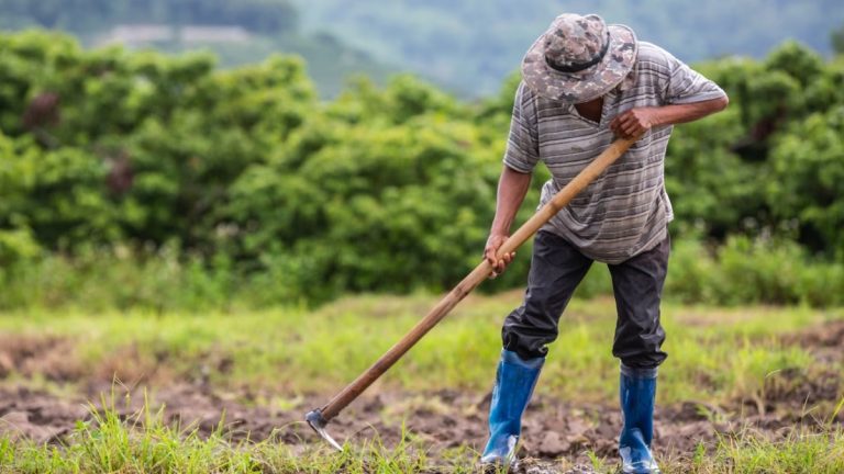 Agronegócio paulista tem saldo positivo apesar