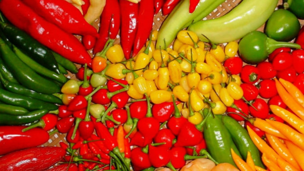 alimentos termogênicos