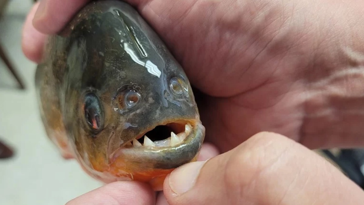 Inscrições para competição de pesca de