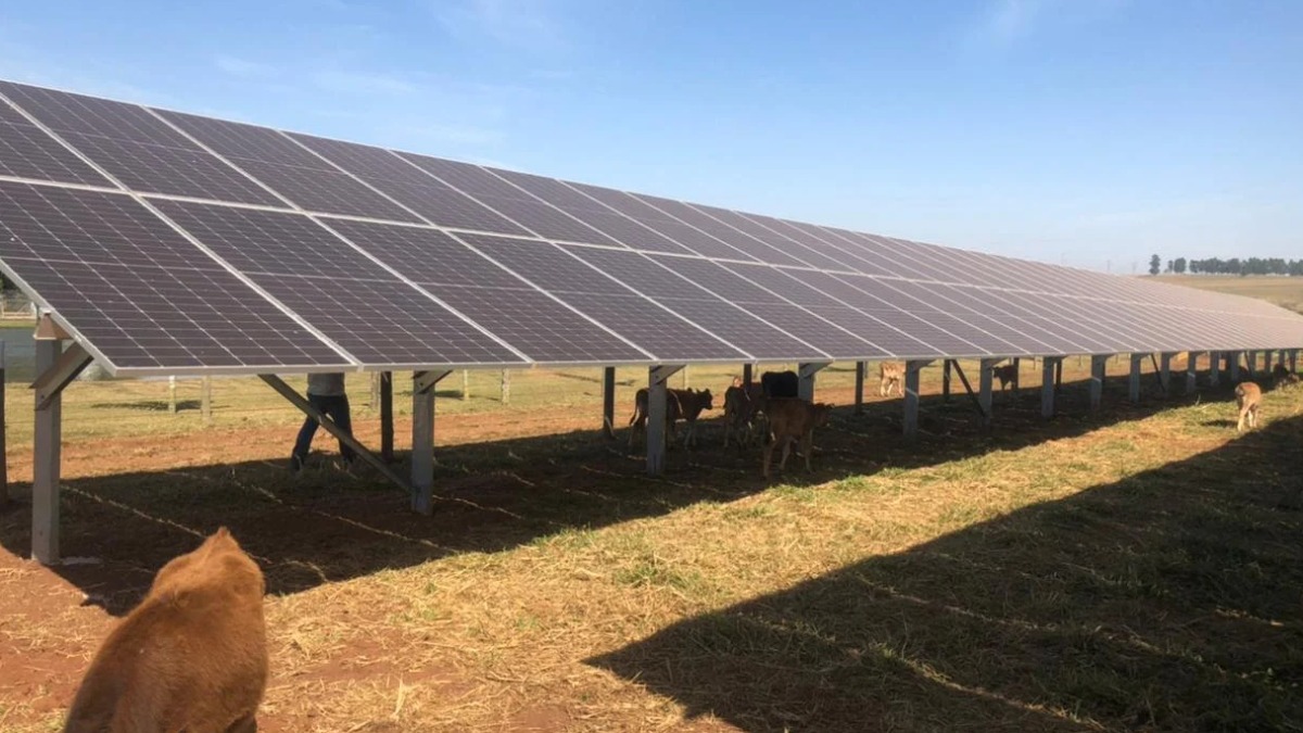 energia solar agronegócio