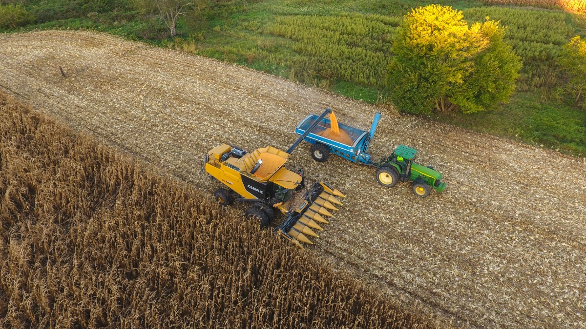 financiamento agrícola