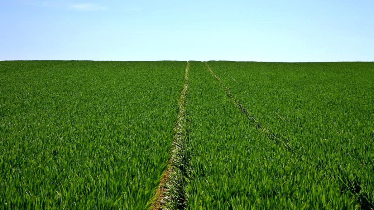 Relatório da Agência Climática Americana revisa