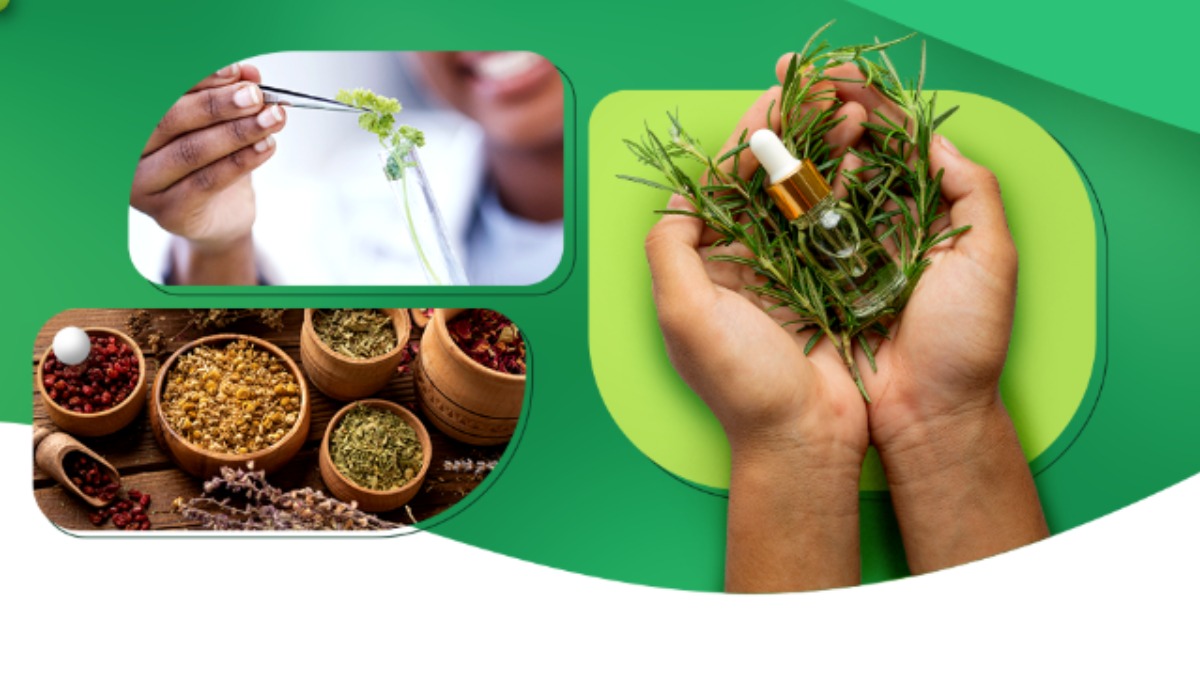 Franca realiza curso gratuito de cultivo