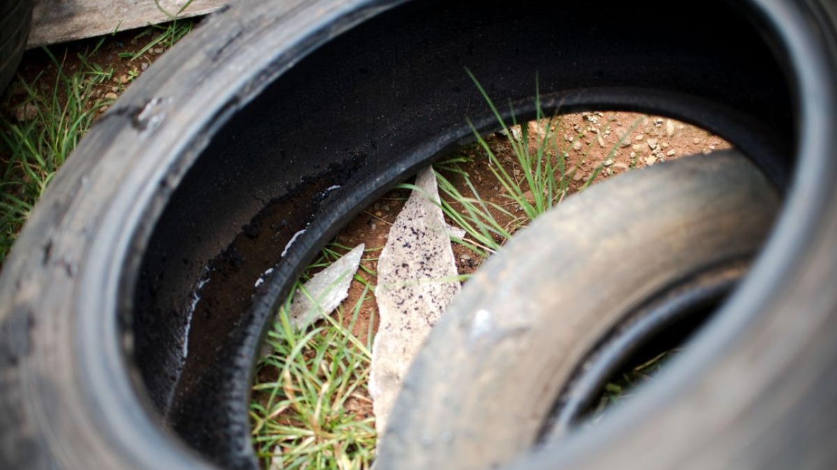 cuidados contra dengue
