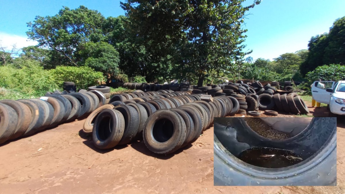 Vigilância sanitária encontra larvas de mosquitos