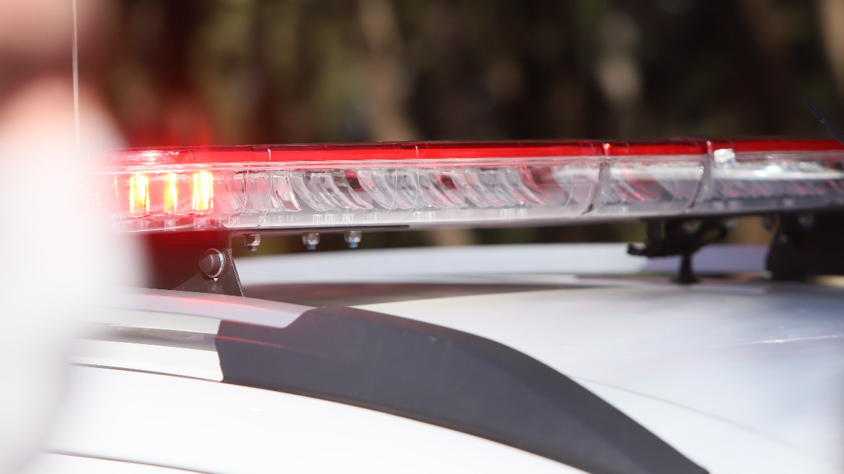 Apreensão de maconha