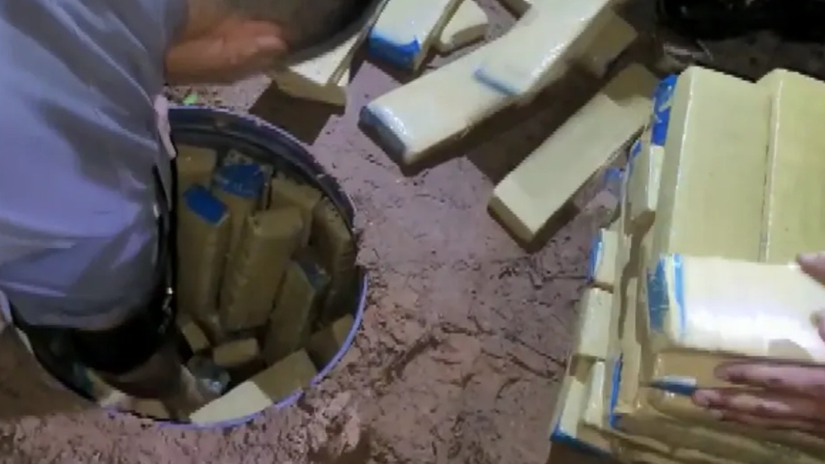 Apreensão de maconha