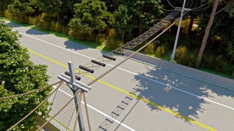 Projeto Reconecta usa pontes artificiais para