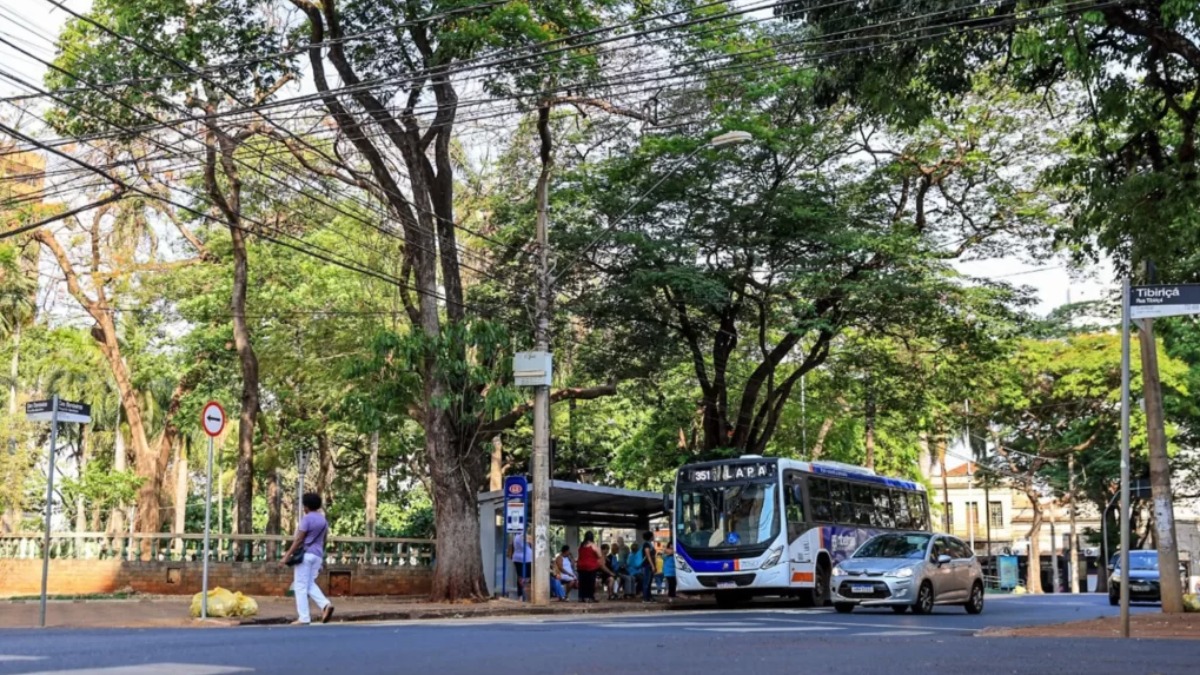 assalto em ponto de ônibus