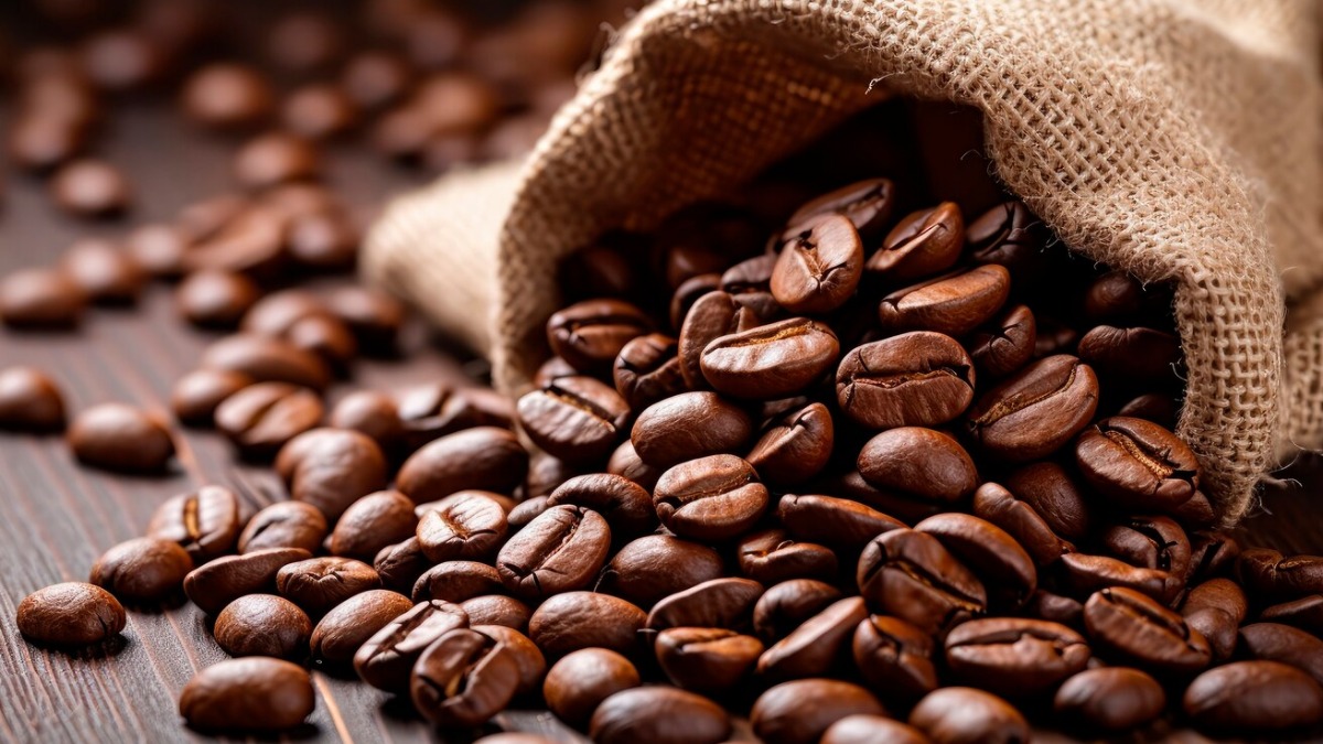 melhores cafés do Estado