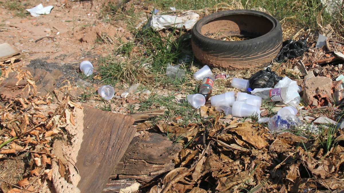 ovos mosquito dengue