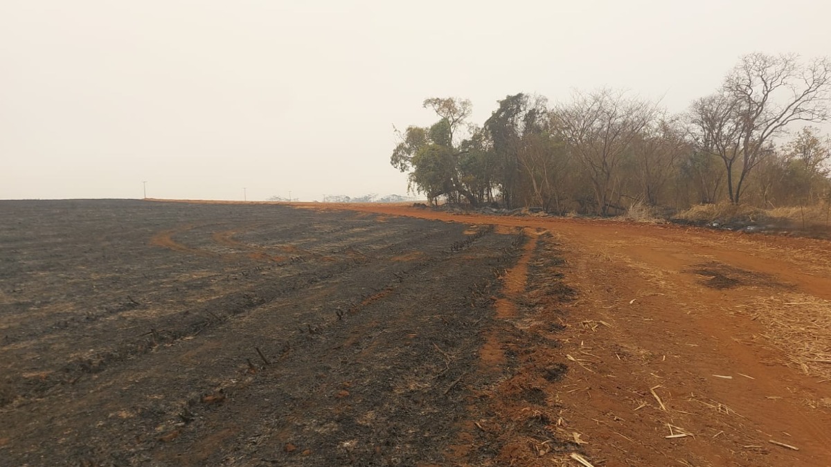 Incêndios florestais