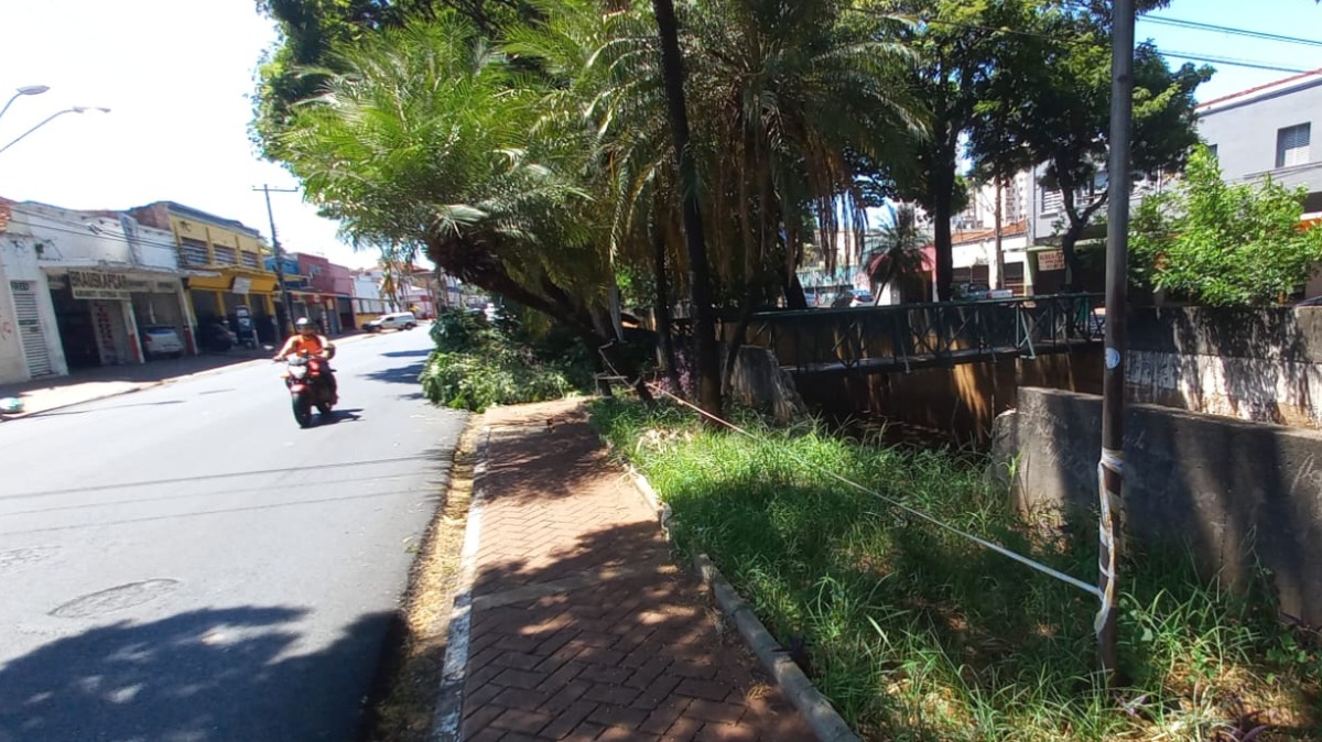 canteiro central Francisco Junqueira