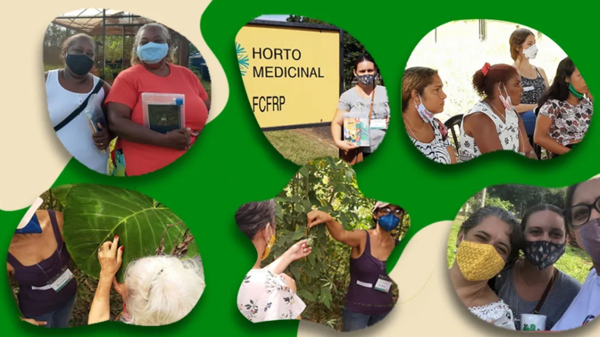 cultivo plantas mediciais