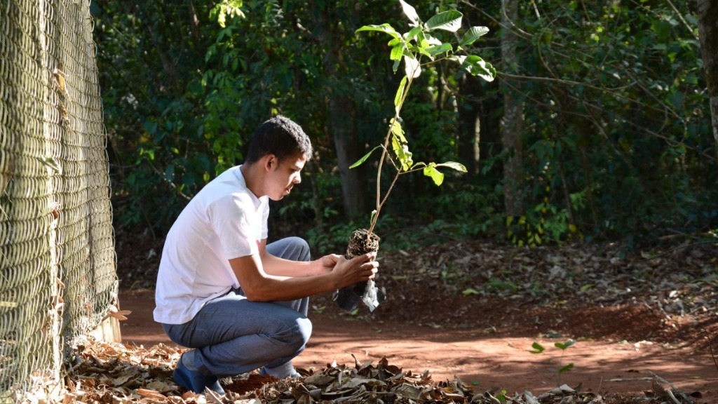 recuperação de nascentes
