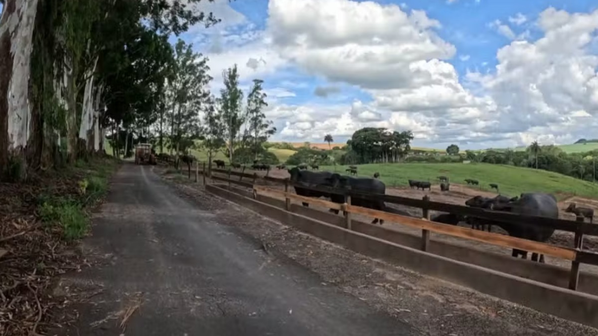 Rota Turística do Queijo Artesanal