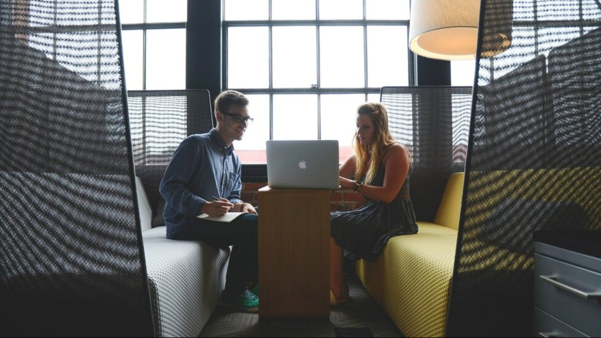 Startups Unicórnio Camelo