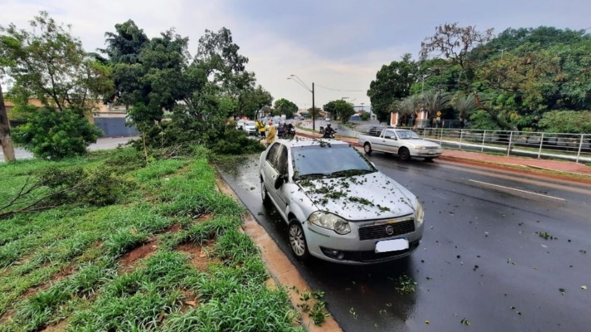 Árvore cai sobre veículo