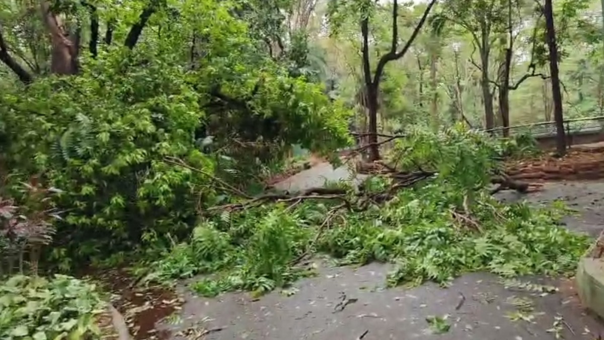 fechamento Bosque Ribeirão