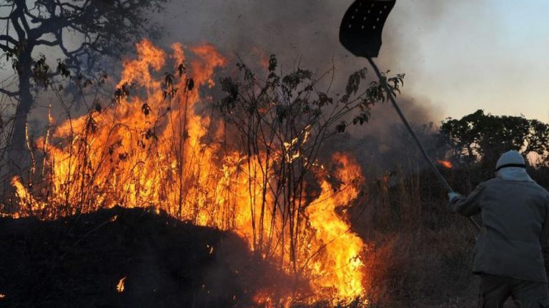 Risco alto de incêndios florestais sp