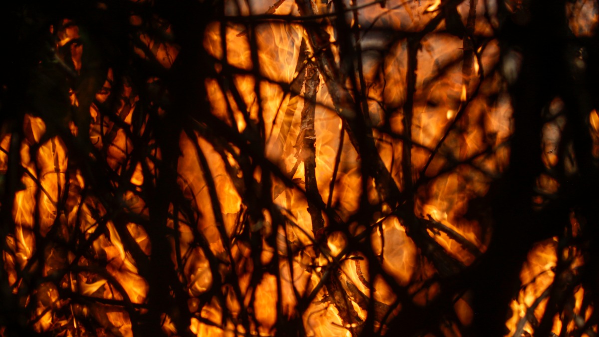 risco infarto AVC diabetes