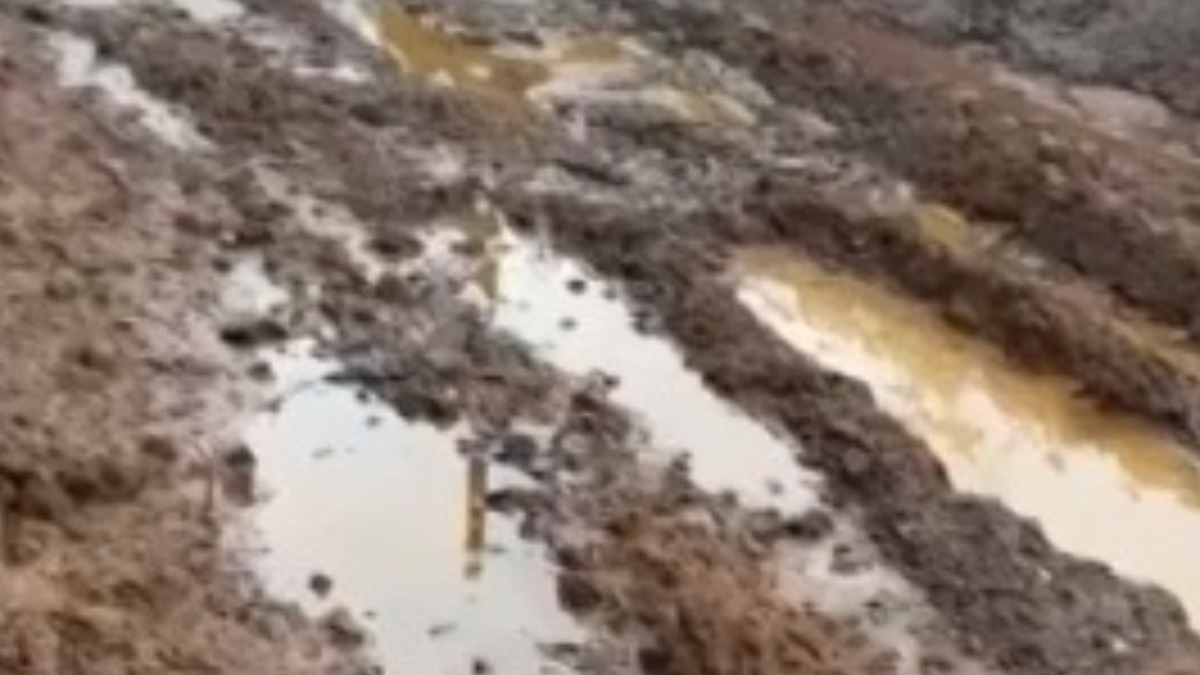 estrada Rio Negro Solimões