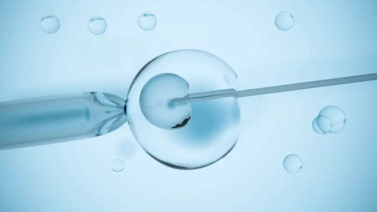 Evento em Ribeirão orienta mulheres que