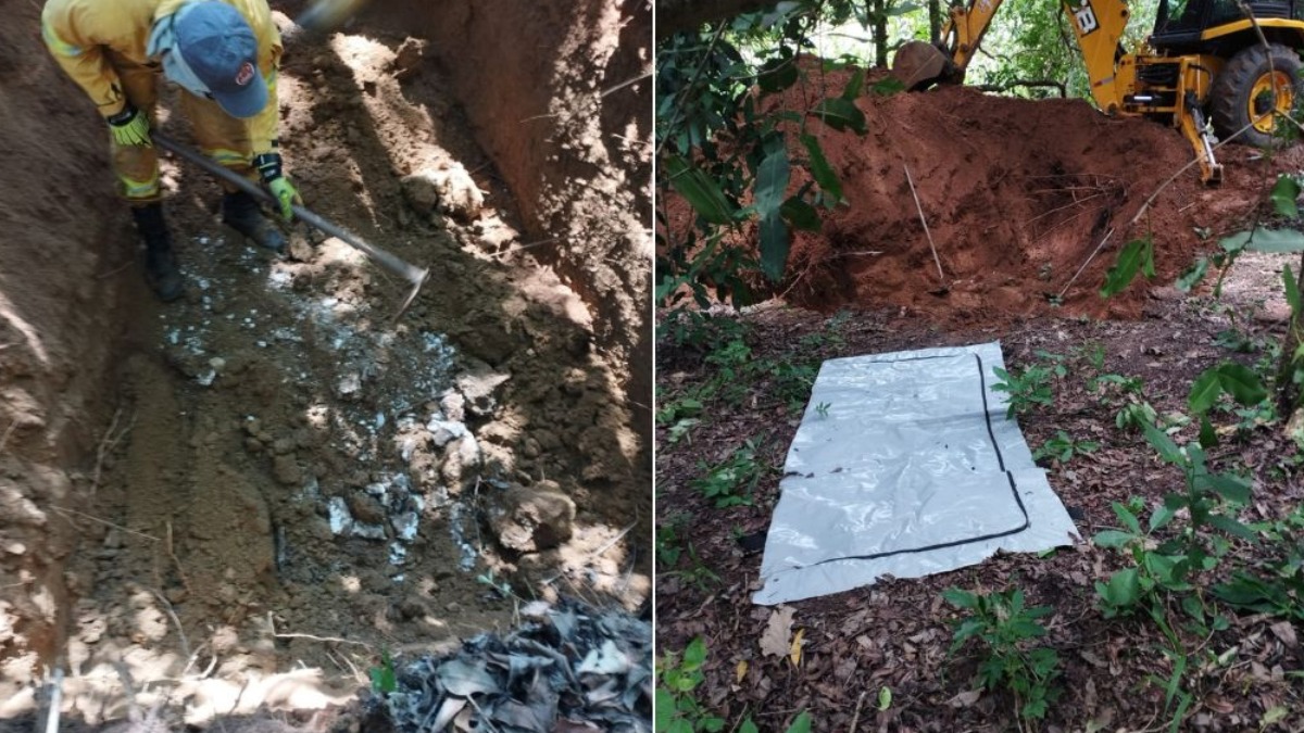 corpos encontrados em mata