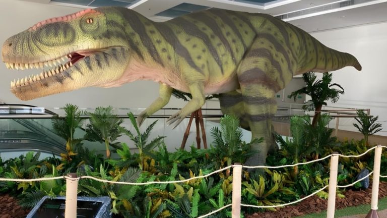 Exposição de dinossauros é atração no