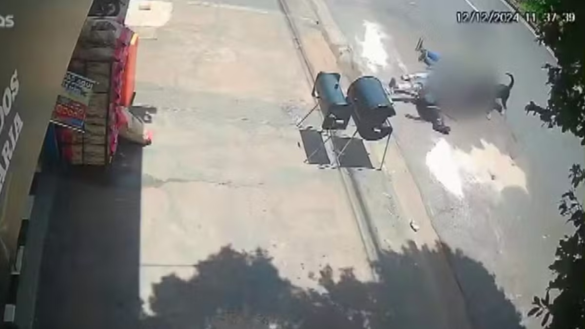 Rottweiler ataca jovem de 17 anos