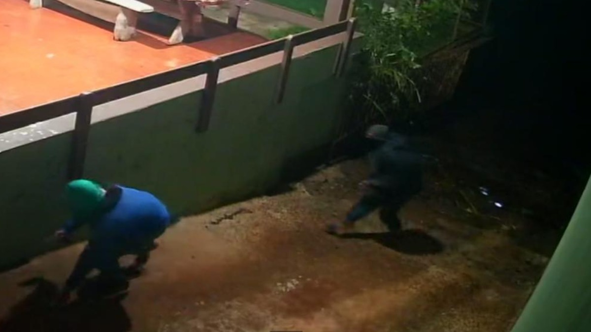 Bandidos invadem rancho e roubam família