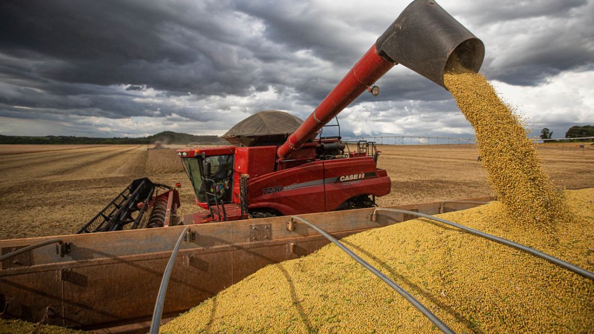 crescimento produção agrícola