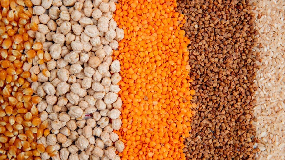 safra de grãos 2023