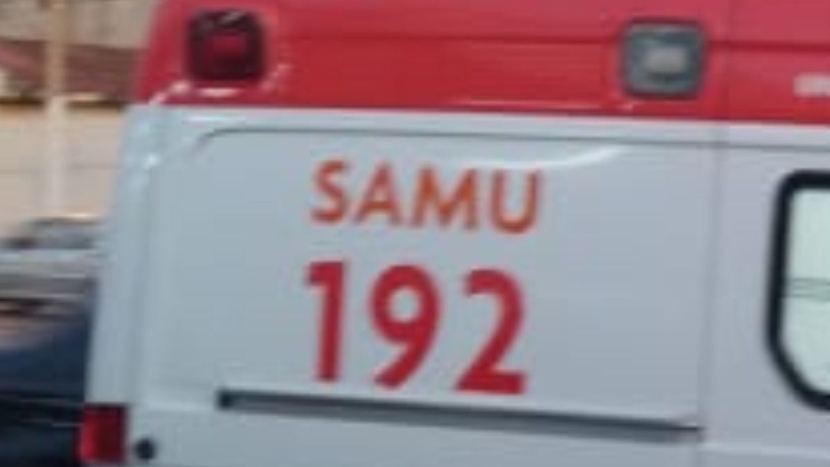 morte atropelamento rodovia