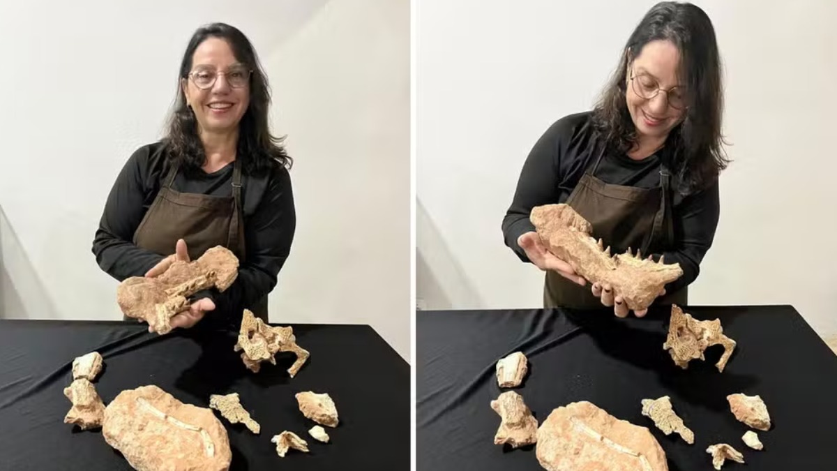 Paleontóloga de Monte Alto é homenageada