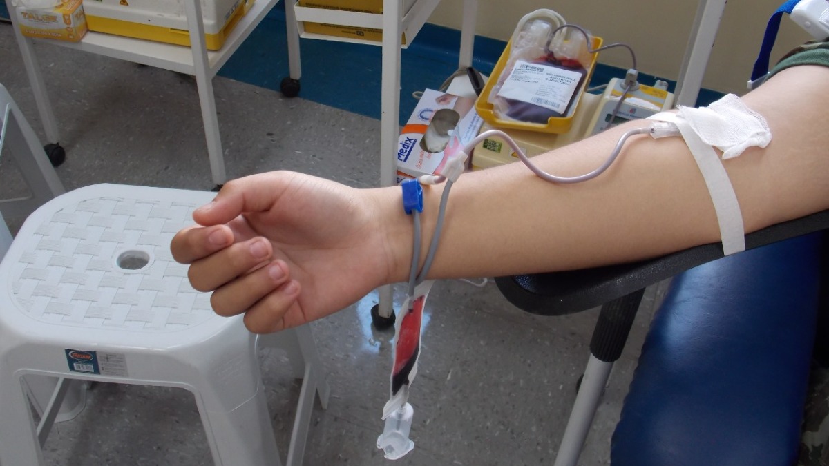 doadores de sangue