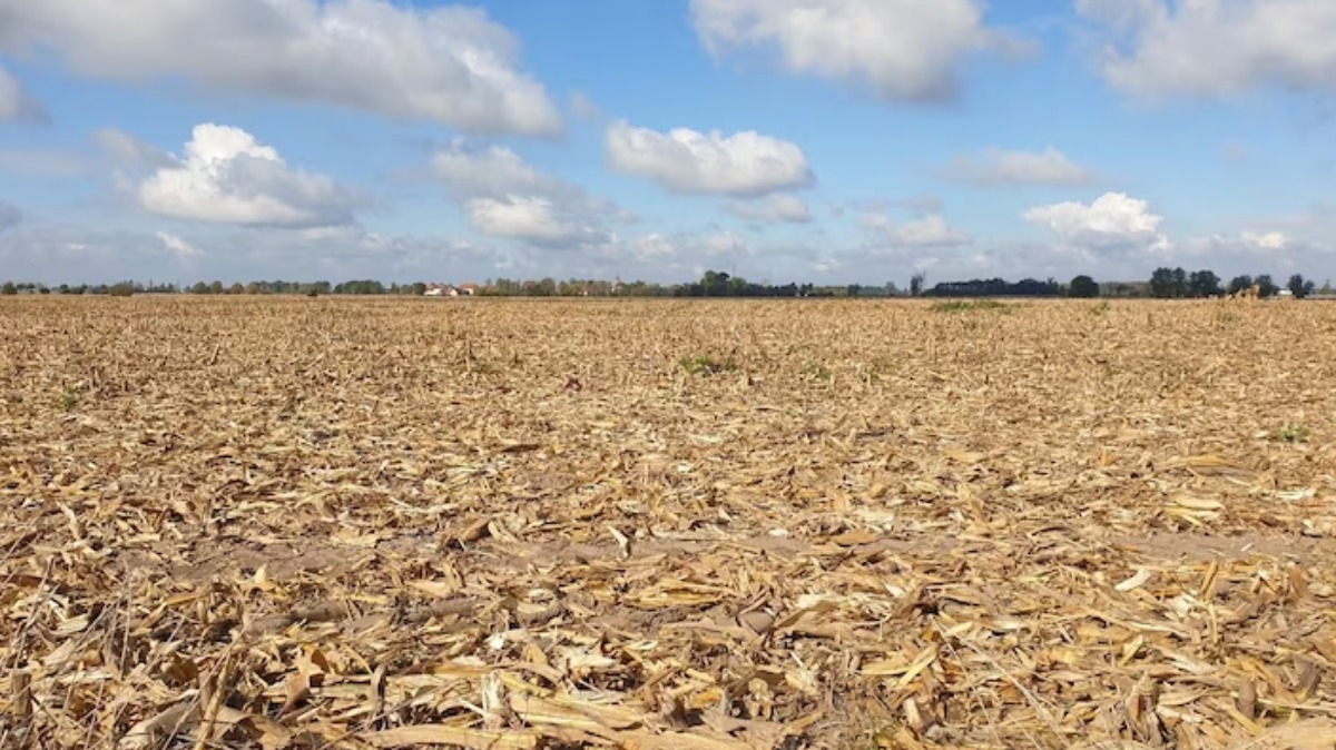 Estiagem Ribeirão Preto