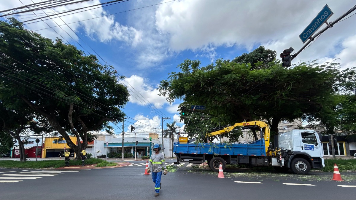 Secretaria da Infraestrutura realiza poda de