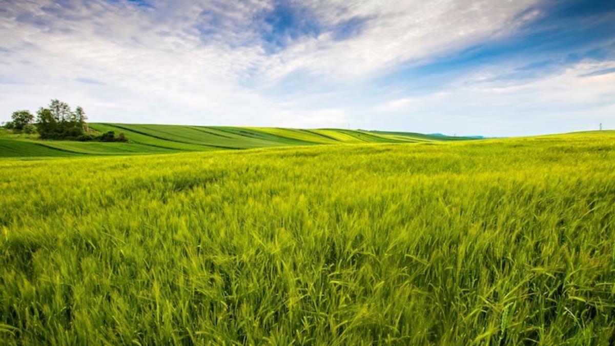 Cerca de R$ 1 bilhão devem