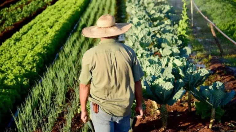 Fórum Segurança no Campo tem projeto