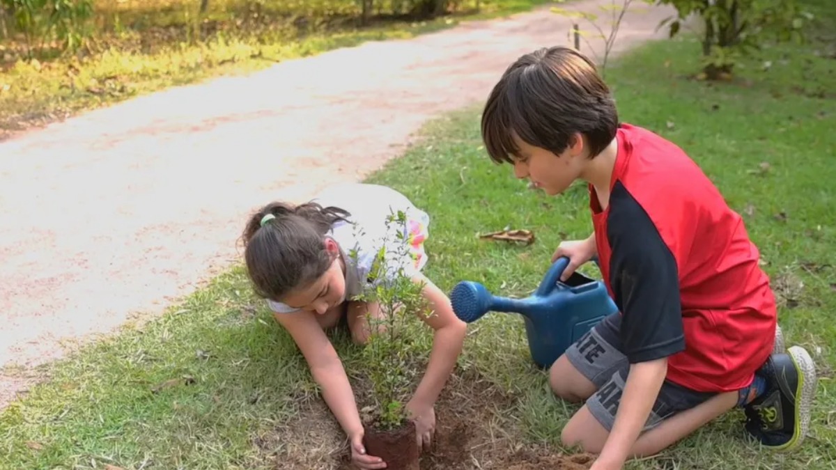 déficit de natureza