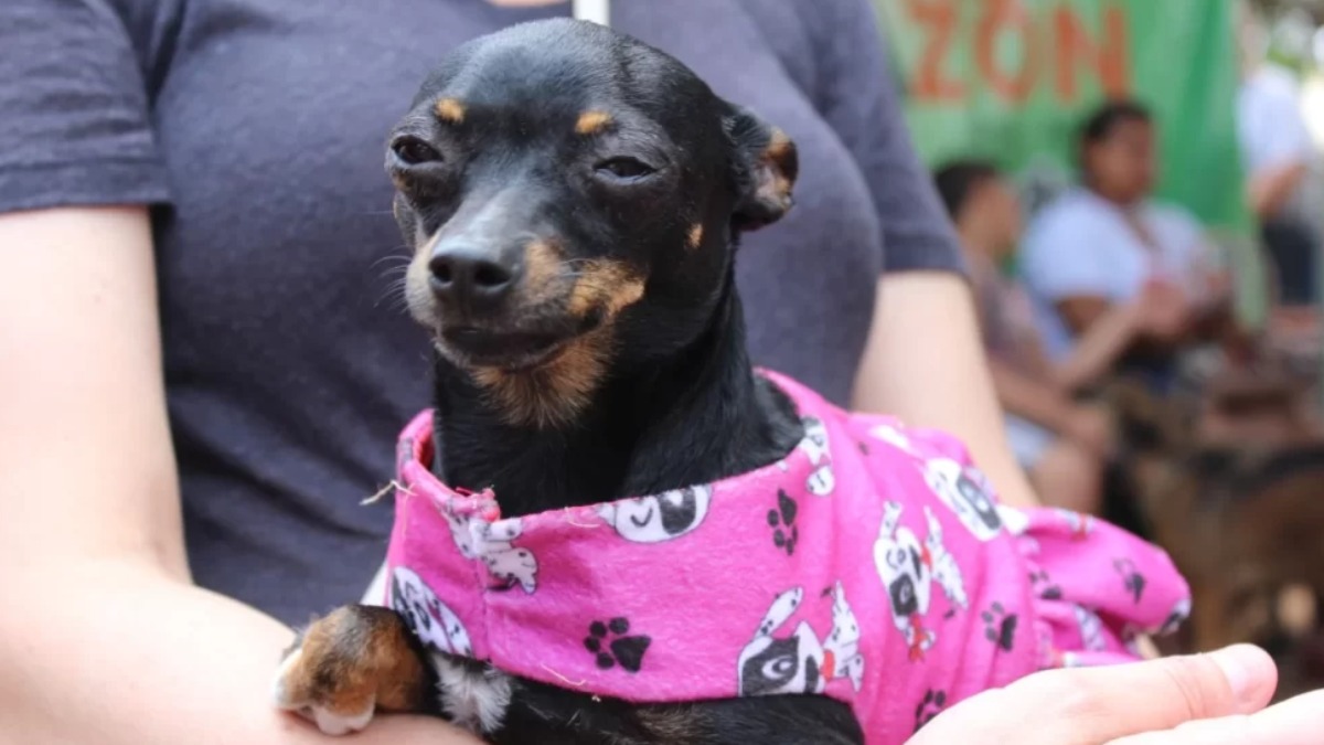 Prefeitura de Sertãozinho realiza mutirão gratuito