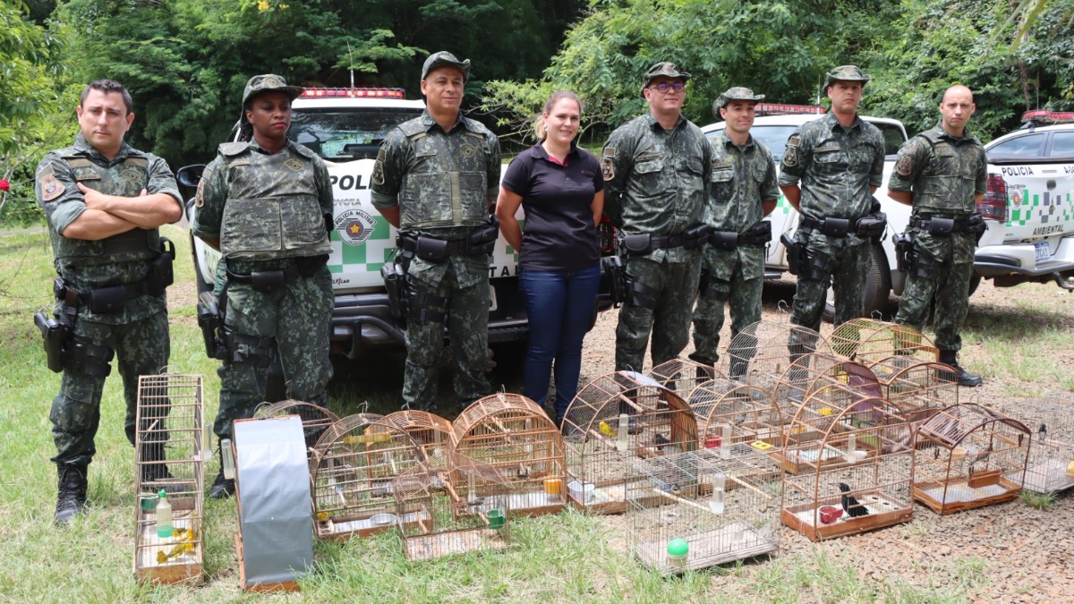 soltura pássaros Franca