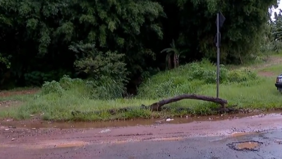 descaso autoridades públicas