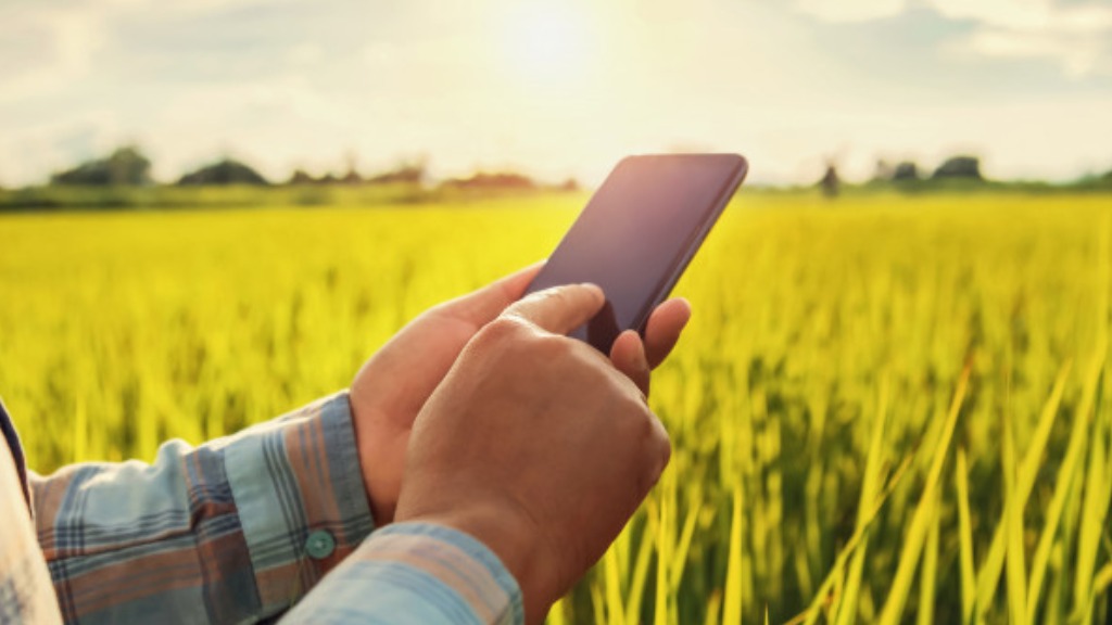 Você já ouviu falar em ‘agricultura