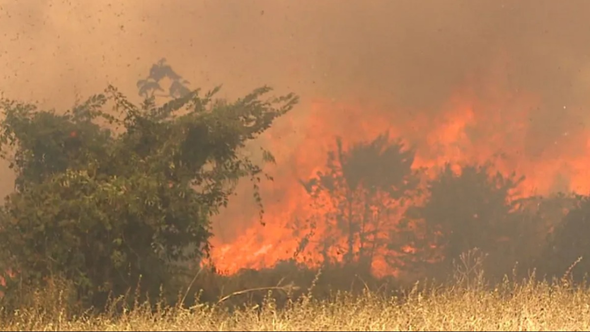 incêndios florestais